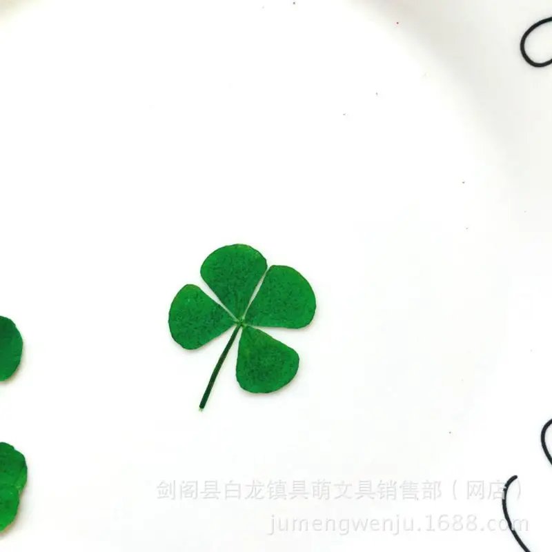 12Pcs Lucky Dried Leaf Clover  - Resin Art Baby review and price