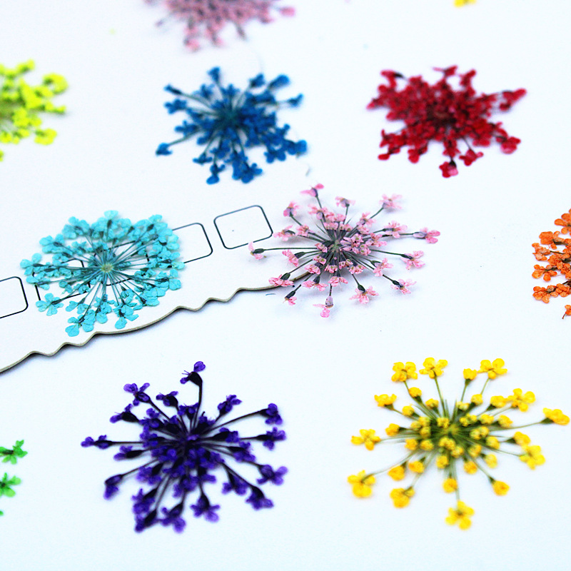 500pcs Lace Flowers Dried Flow - Resin Art Baby review and price